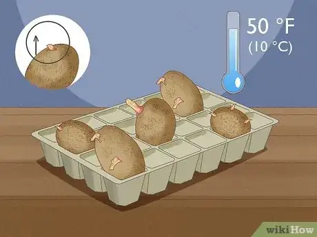 Imagen titulada Plant Potatoes in Pots Step 2
