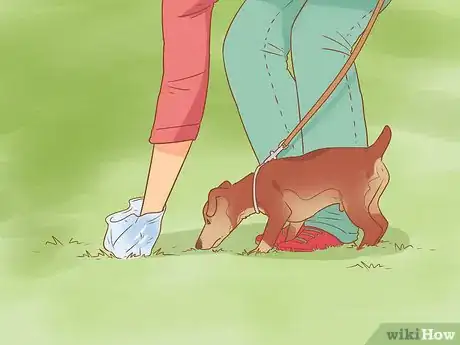 Imagen titulada Introduce a Dog to a Dog Park Step 18