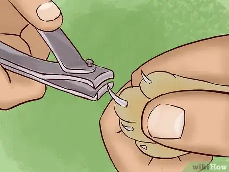 Imagen titulada Deal With a Cat Scratch Step 21