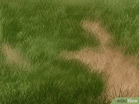 Imagen titulada Get and Maintain a Healthy Lawn Step 18