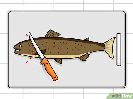 Imagen titulada Debone a Trout Step 1