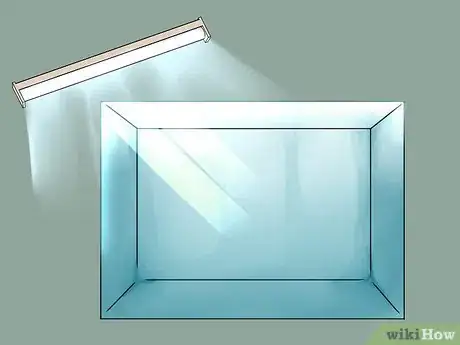 Imagen titulada Build a Self Sustaining Ecosystem Step 2