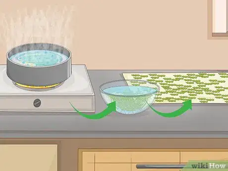 Imagen titulada Grow Soybeans Step 12