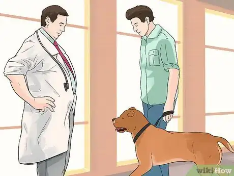 Imagen titulada Put a Dog to Sleep Step 5