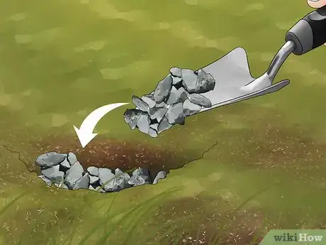 Imagen titulada Kill Voles Step 11