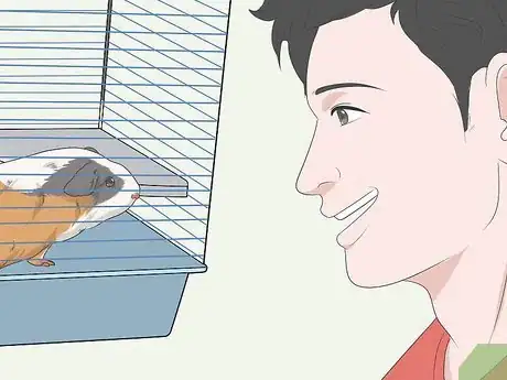Imagen titulada Hold a Guinea Pig Step 2