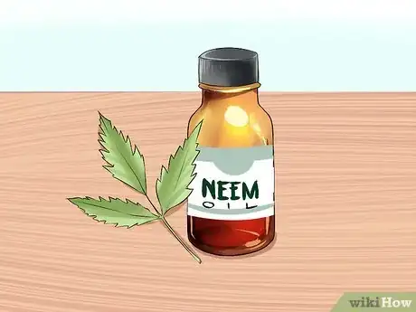 Imagen titulada Get Rid of a Rash Between Your Legs Step 9