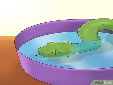 Imagen titulada Care for a Shedding Snake Step 5