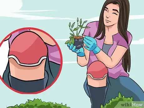 Imagen titulada Treat a Swollen Knee Step 16