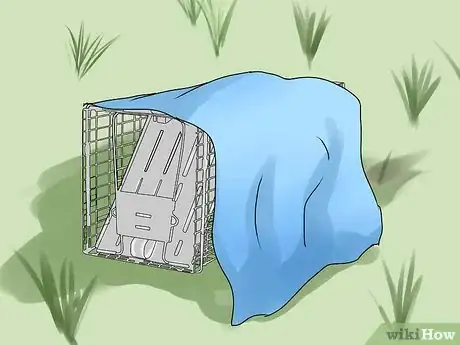 Imagen titulada Trap a Groundhog Step 10