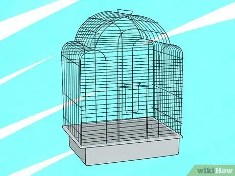 Imagen titulada Take Care of a Cockatiel Step 2