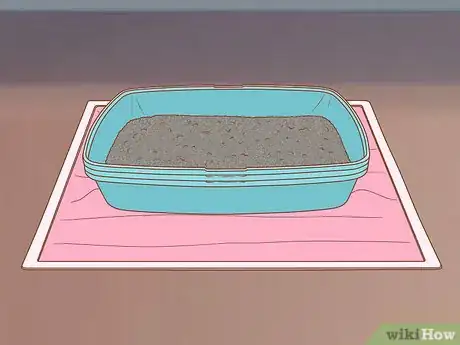 Imagen titulada Keep Litter from Clumping in Your Kitty's Paws Step 5