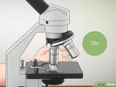 Imagen titulada Know if You Have Dust Mites Step 5