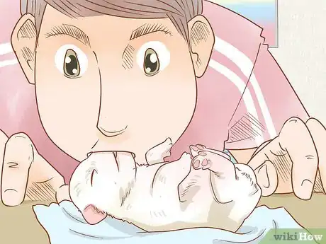 Imagen titulada Revive a Puppy Step 6