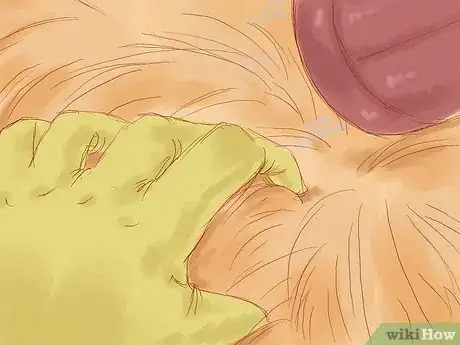Imagen titulada Get Ticks off Dogs Step 4