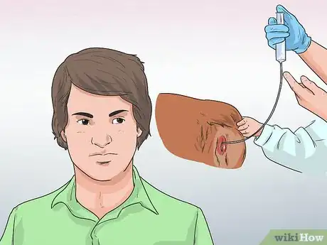 Imagen titulada Artificially Inseminate a Dog Step 1