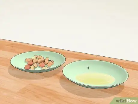 Imagen titulada Catch a Fly With Your Hands Step 3