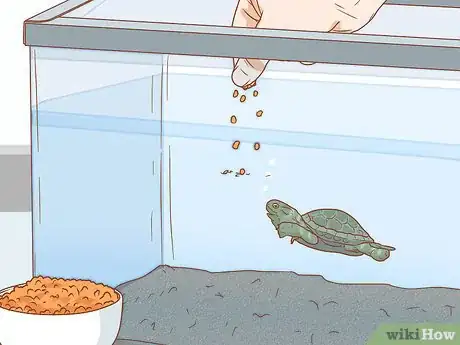 Imagen titulada Care for Turtles Step 10
