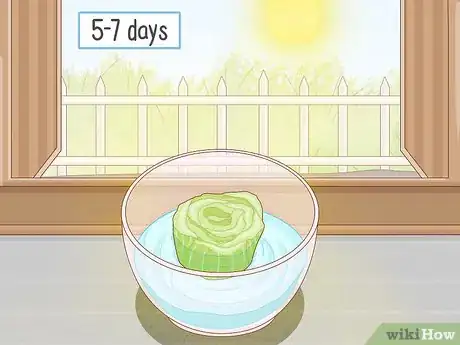 Imagen titulada Grow Celery from a Stalk Step 3