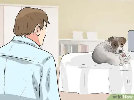 Imagen titulada Encourage Your Dog to Sleep in Your Bed Step 9