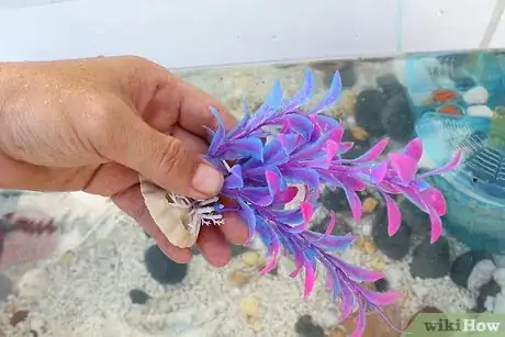 Imagen titulada Clean a Small Fishtank Step 9
