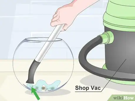 Imagen titulada Clean a Fish Bowl Step 9
