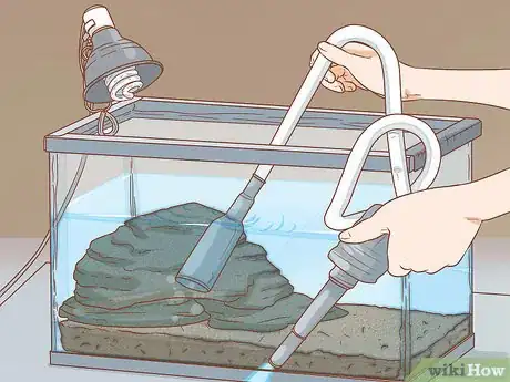 Imagen titulada Care for Turtles Step 15