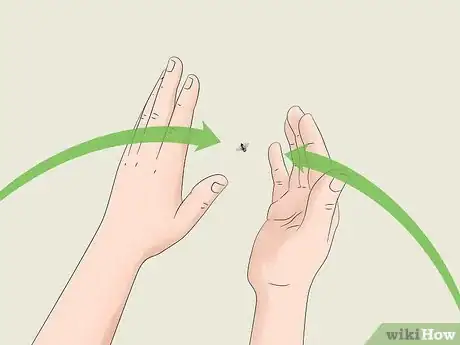 Imagen titulada Catch a Fly With Your Hands Step 9
