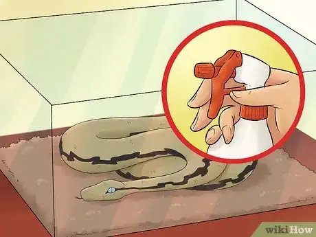 Imagen titulada Care for a Shedding Snake Step 3
