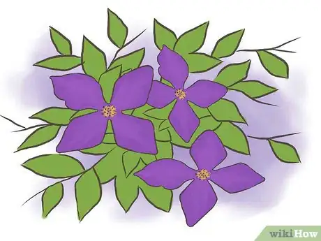 Imagen titulada Prune Clematis Step 7