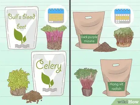 Imagen titulada Grow Microgreens Step 6
