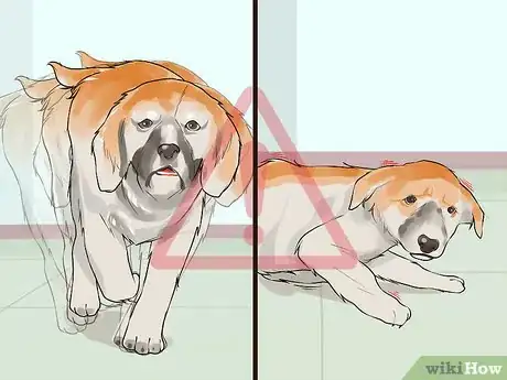 Imagen titulada Handle Hypoglycemia in Young Puppies Step 1