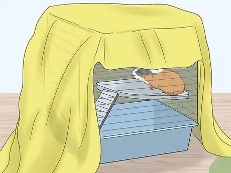 Imagen titulada Hold a Guinea Pig Step 1