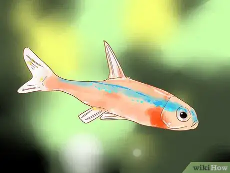 Imagen titulada Care for Neon Tetra Step 14