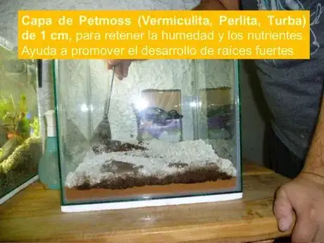 Imagen titulada Slide 20 638