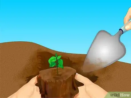 Imagen titulada Add Compost to Plants Step 5