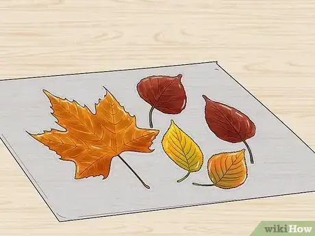 Imagen titulada Preserve Fall Leaves Step 28