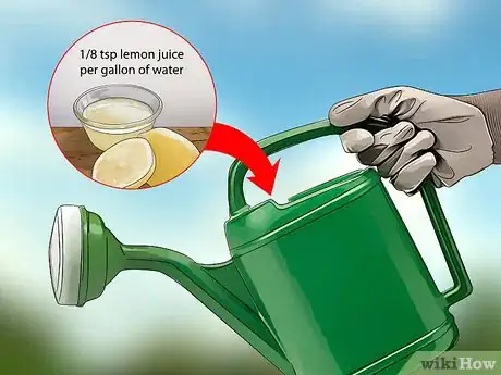 Imagen titulada Lower the pH of Water Step 6