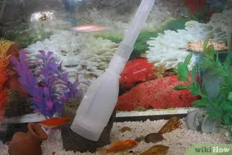 Imagen titulada Start a Siphon (Fish Tank) Step 7