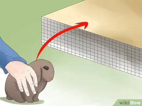 Imagen titulada Care for Mini Lop Rabbits Step 4