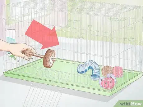 Imagen titulada Exercise Your Guinea Pig Step 2