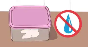 preservar dientes extraídos