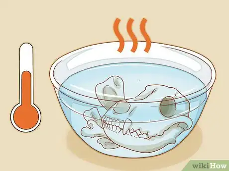 Imagen titulada Clean Bones Step 6