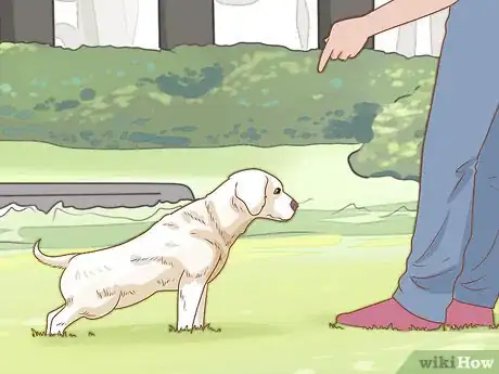 Imagen titulada Treat Your Dog Step 6