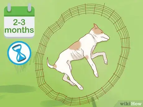 Imagen titulada Clean Bones Step 2
