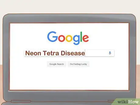 Imagen titulada Care for Neon Tetra Step 15