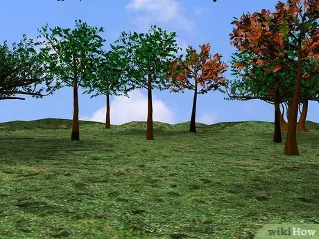 Imagen titulada Build a Natural Shelter in the Jungle Step 3