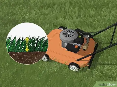 Imagen titulada Care for Burned Grass Step 7