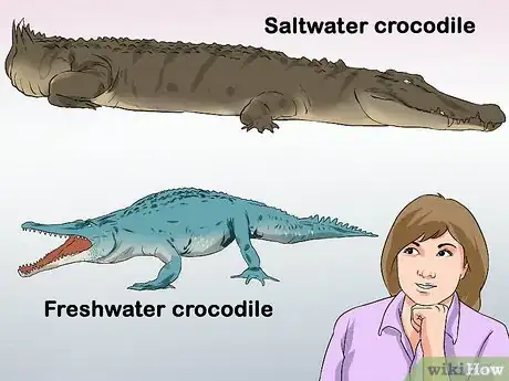 Imagen titulada Tell a Freshwater Crocodile from a Saltwater Crocodile Step 1