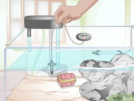 Imagen titulada Clean a Turtle Tank Step 13